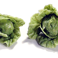 Image of Lettuce, Crinkly, Single