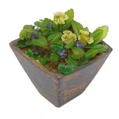 Image of <b>NEW:</b> Spring Violets & Primula Planter